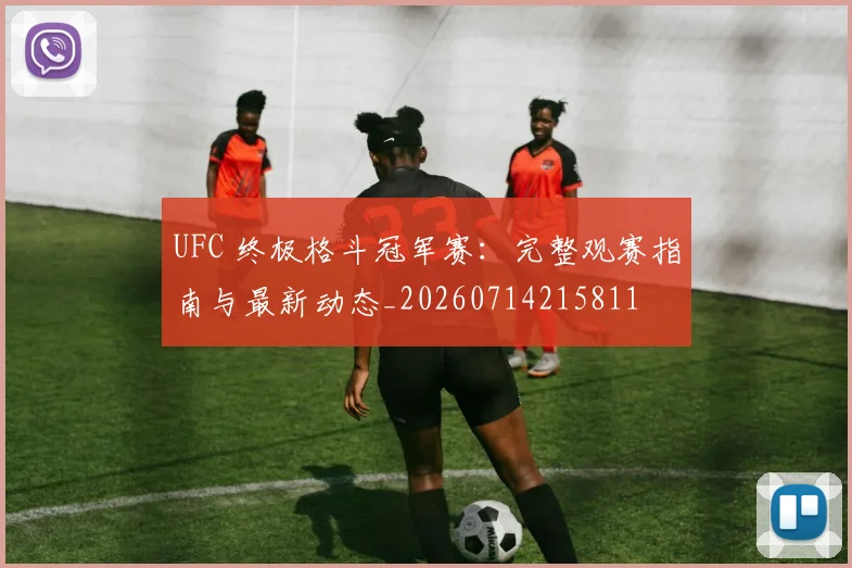 UFC 终极格斗冠军赛:完整观赛指南与最新动态_20260714215811