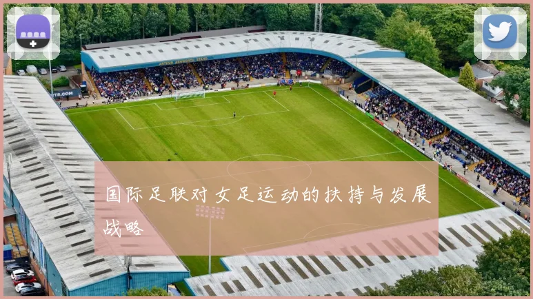 国际足联对女足运动的扶持与发展战略